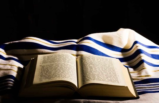 Bat Mitzvah Tallit2